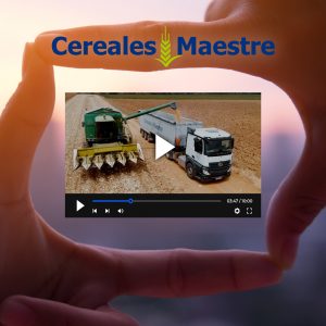 Imagen proyecto cereales-maestre